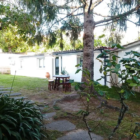 Xeitosa Ii, En El Centro De Tatil Evi Vigo