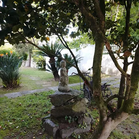 Xeitosa Ii, En El Centro De * Vigo