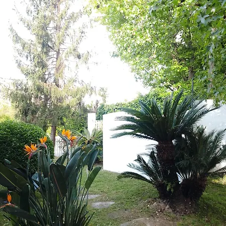 Tatil Evi Xeitosa Ii, En El Centro De
