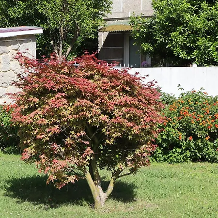 Xeitosa Ii, En El Centro De Tatil Evi Vigo